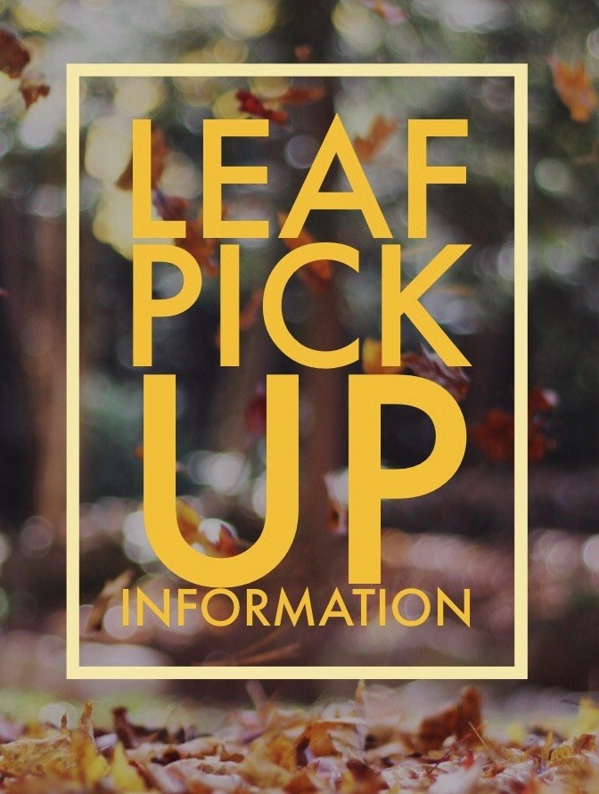 Leaf Pick Up Information